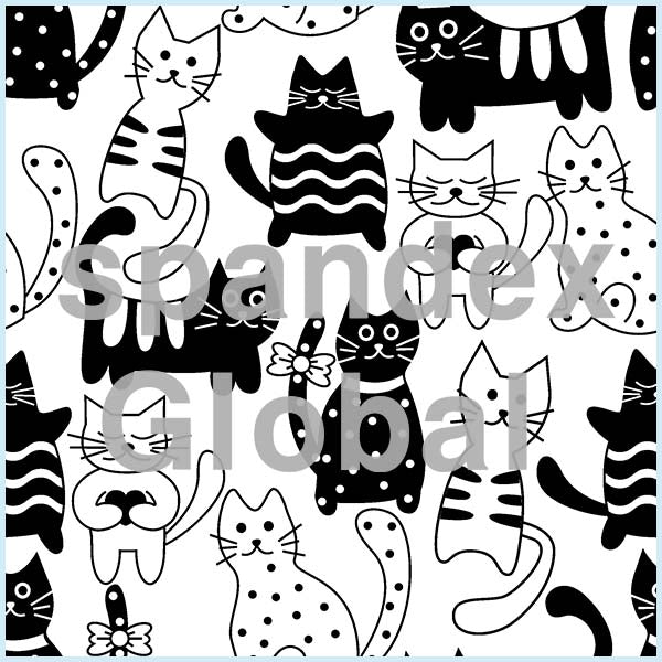 Black and White Cats