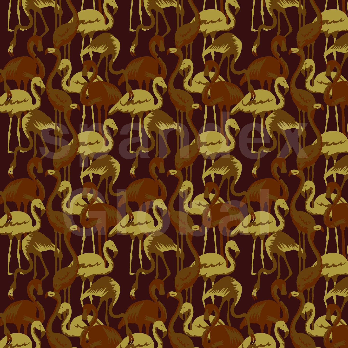 Brown Flamingos
