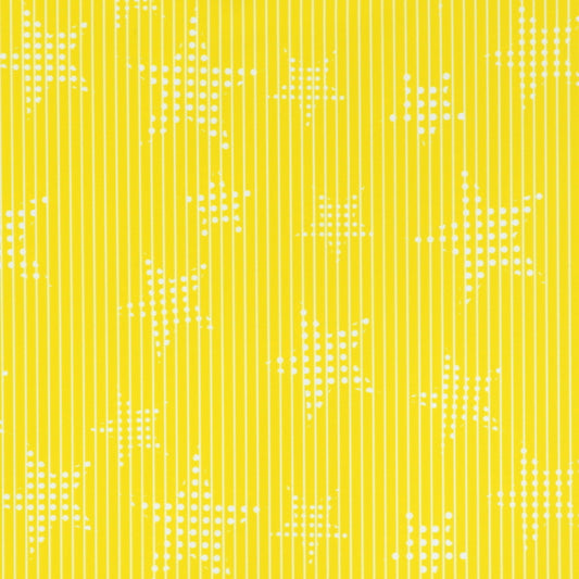 Dotted Star Print on Stripes