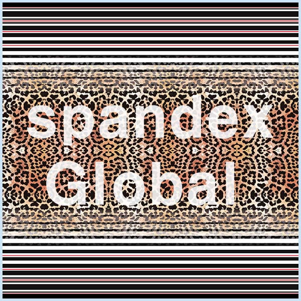 Mirrored Leopard Print Fade Into Stripes