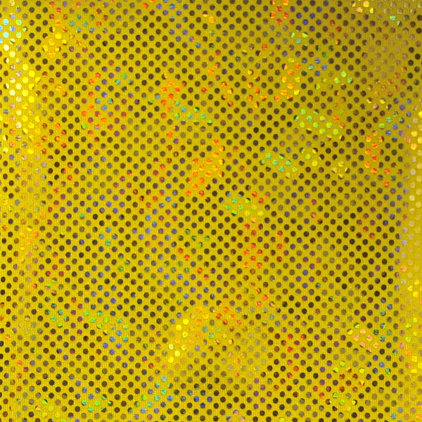 Shattered Glass Hologram Spandex