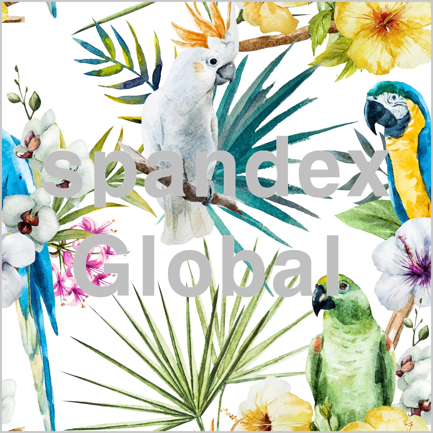 Watercolour Parrot Print