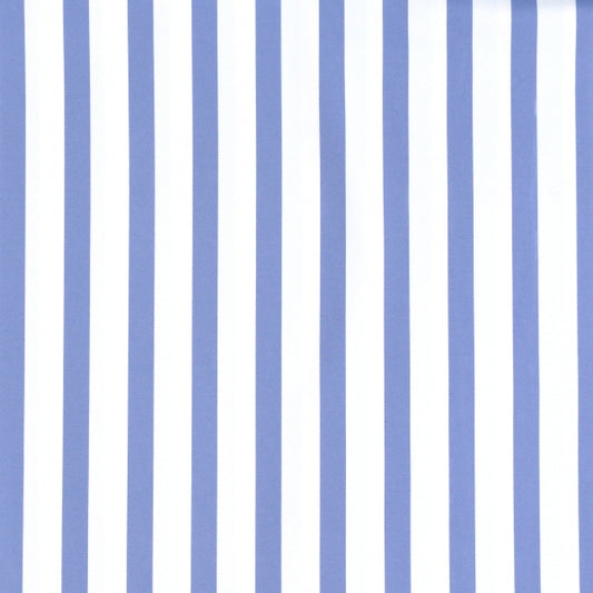 13mm Stripe Print Spandex