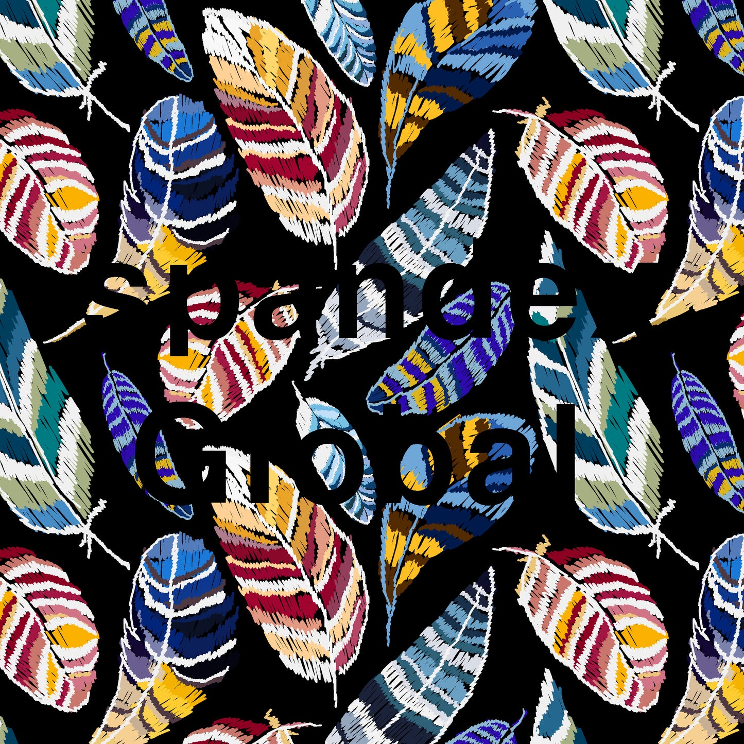 Colorful Bird Feathers on Black