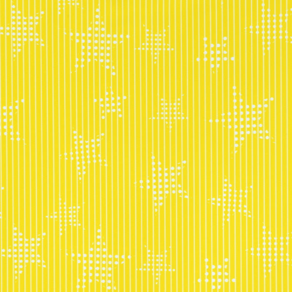Dotted Star Print on Stripes