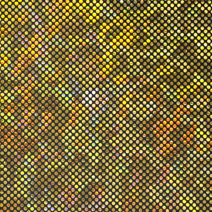 Shattered Glass Hologram Spandex