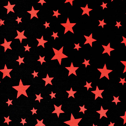 Starry Night Print