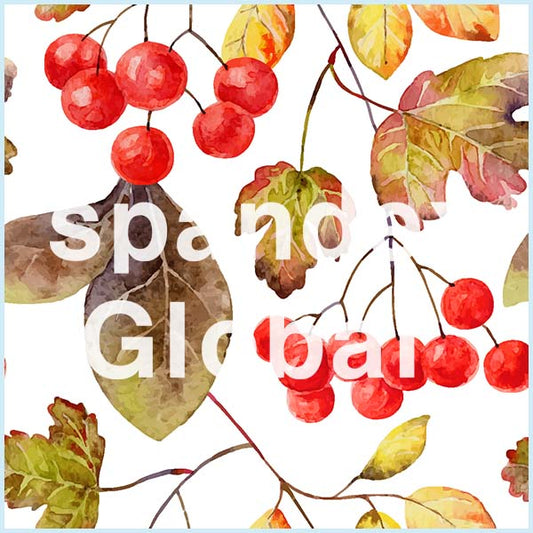 Autumn Berries and Leaves