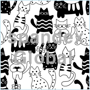 Black and White Cats