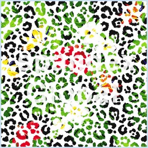 Colorful Leopard Pattern