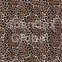 Leopard Animal Pattern