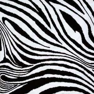 Zebra Print Spandex