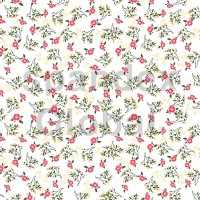 Red Floral Calico Print