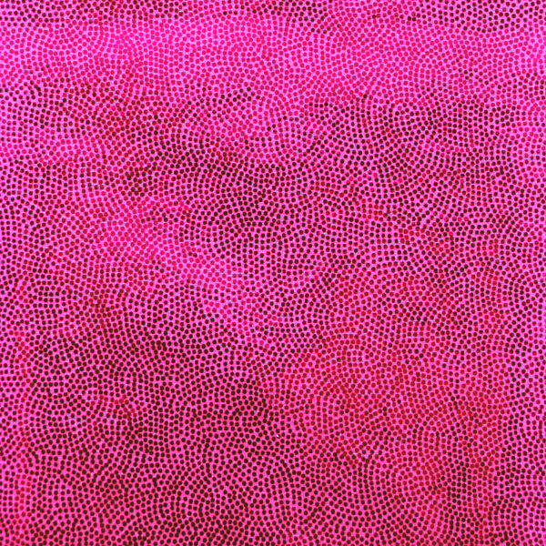 Mystique Foil Fabric - Hot Pink / Orange Tie Dye - 58/60 4 Way Stretc