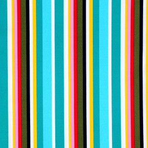 Multi Colored Stripe Print Spandex