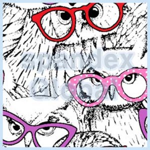 Owl Glasses